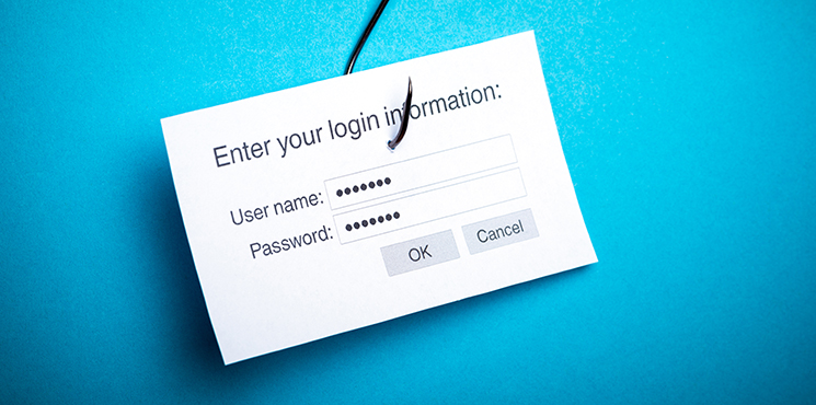 Website Password Security